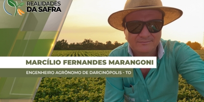 Clima melhorou após o plantio e Darcinópolis/TO espera altas produtividades na soja