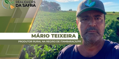 Itambaracá/PR alcança 90% da área de soja plantada e mantém boas expectativas de produtividade