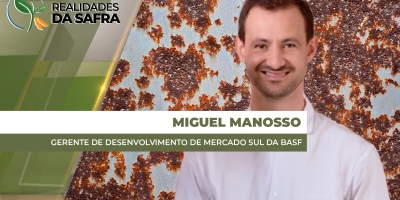 Focos de ferrugem asiática na safra 25/26 já superam os registrados em anos anteriores