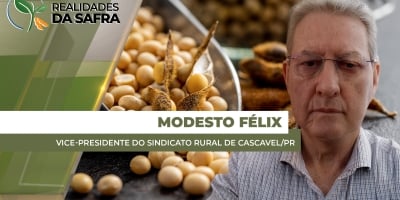 Cascavel/PR deve começar colheita da soja ainda em janeiro esperando boas produtividades