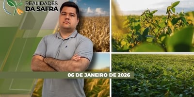 Colheita da soja está começando em Sinop/MT, mas ainda vai levar mais tempo para chegar em Itambé/PR
