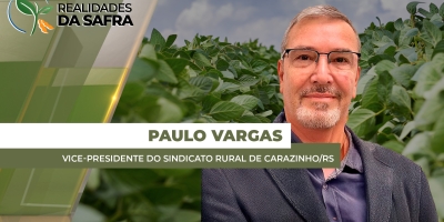 Carazinho/RS tem lavouras de soja em situações distintas de acordo com o volume de chuva recebido