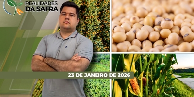 Pressão da ferrugem aumenta e alerta produtores e excesso de chuvas traz danos nas lavouras de café
