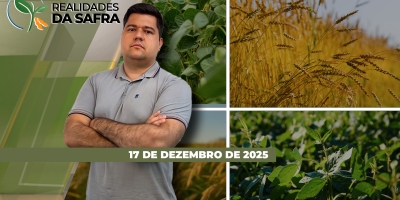 Mato Grosso segue com dificuldades para desenvolvimento da soja e espera reflexos atingindo o milho segunda safra