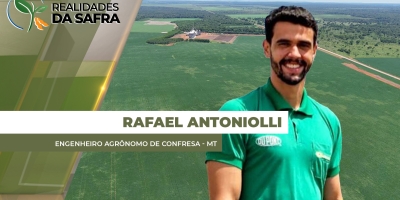 Colheita da soja avança em Confresa/MT com boa projeção de produtividade