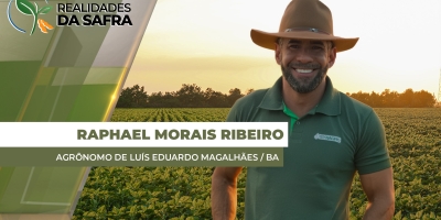 Colheita da soja começa nas áreas de pivô em Luís Eduardo Magalhães/BA