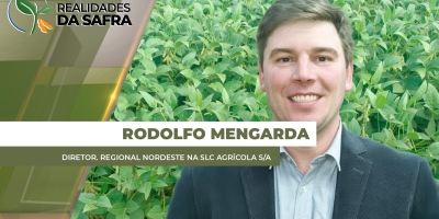 Após início complicado de safra, soja se desenvolve bem no Oeste da Bahia