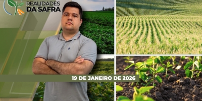 Safra de soja brasileira pode chegar a 182,2 milhões de toneladas, estima Rally da Safra