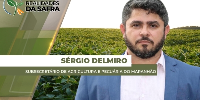 Maranhão espera queda de produtividade na soja após clima complicado