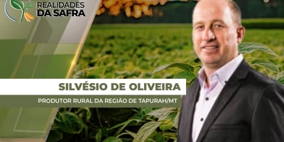 Após regularidade das chuvas, safra de soja tem se desenvolvido bem na região de Tapurah/MT