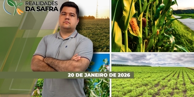 Colheita da soja começa com boas perspectivas no Oeste da Bahia e no Mato Grosso do Sul