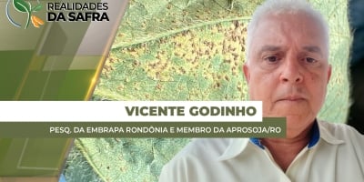 Rondônia teve chuva em todos os dias de dezembro e ferrugem asiática começa a aparecer nas lavouras de soja