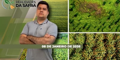 Boas produtividades são esperadas para soja de Guaíra/PR, que já começou a colher, e Amambai/MS, que se aproxima da colheita