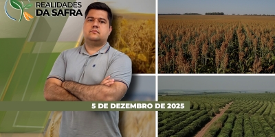 Safra de soja já perdeu potencial produtivo em regiões como Jataí/GO e Araguari/MG