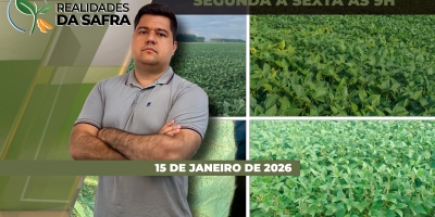 Oeste da Bahia espera boa safra de soja após dificuldades no momento de plantio