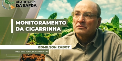 Colheita da soja chega a 75% em Palotina/PR com maiores produtividades já registradas no município