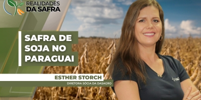 Soja avança no Paraguai com chuvas intensas no sul, mas produtores ainda monitoram o clima no norte