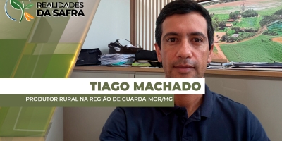 Feijão: Infestação da mosca-branca compromete lavouras em Guarda-Mor/MG e leva agricultores a buscarem alternativas para a próxima safra