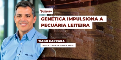 Genética e tecnologia elevam produtividade no rebanho de bezerras com colostro na pecuária leiteira