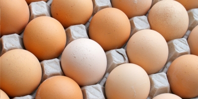 França estabelece recorde de consumo de ovos em 2025