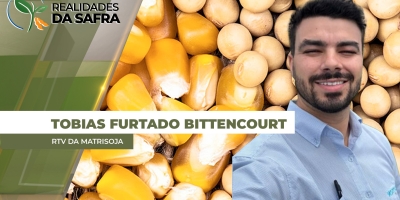 Safras boas de soja e milho marcam e este pode ser o melhor ciclo de grãos do Paraguai