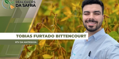 Paraguai fecha safra de soja com maioria dos produtores tendo altas produtividades