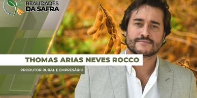 Colheita da soja começa em Araçatuba/SP após desenvolvimento prejudicado pelo clima