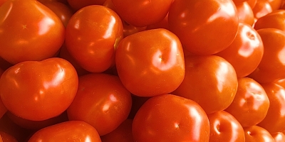 Preço médio do tomate Carmem cai 62% em um mês no atacado da CEAGESP