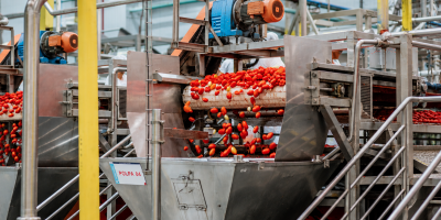 Brasil processa mais de 1 milhão de toneladas de tomate ao ano, mas ainda tem déficit em pasta