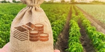 Nova lei reduz benefícios fiscais federais e pode aumentar custos no agronegócio a partir de 2026
