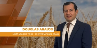 Chuvas atrasam colheita do trigo e demanda segue travada