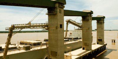 Trigo: Safra histórica da Argentina amplia pressão sobre preços globais e acende alerta no mercado brasileiro