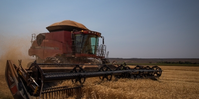 Vendas de máquinas e equipamentos caem 3,4% em outubro, diz Abimaq