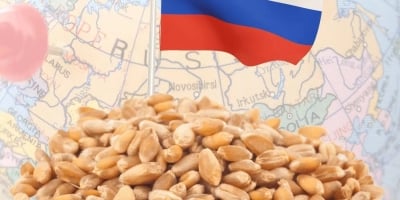 Exportações de grãos russos por via marítima têm 1ª alta na temporada 25/26