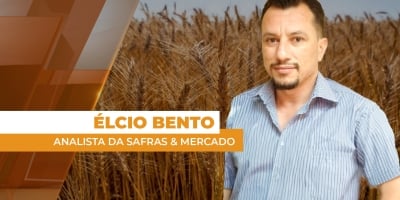 Mercado de trigo segue pressionado por oferta global recorde e importações mais competitivas