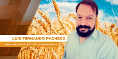 Trigo em alta: o que está por trás dos preços?