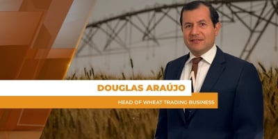 Mercado nacional tem preços bastante pressionados com impacto do dólar e importações maiores