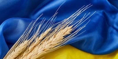 Ucrânia planeja aumento de 4,2% na área plantada com grãos de primavera em 2026