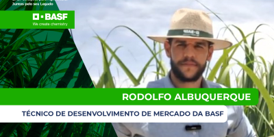 Produtividade da cana exige manejos mais eficientes e novas soluções para frear perdas no campo