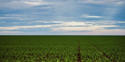 AGU pede que STF prorrogue suspensão de lei do MT sobre Moratória da Soja