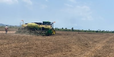 Fazenda de cooperado da Castrolanda alcança 76 sacas por hectare na soja do Tocantins