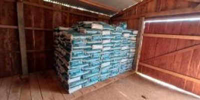 Armazenamento correto garante qualidade e previne perdas de produtos pecuários