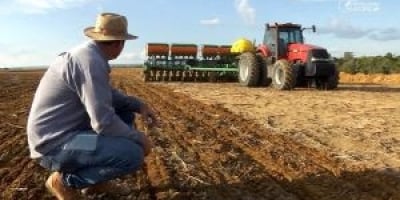 Safra de soja em Mato Grosso entra em alerta com custo recorde de R$ 54,39 bilhões e pressiona produtores a repensar manejo