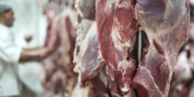 União Europeia paga o melhor preço pela carne de Mato Grosso no mercado internacional