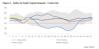 Safra robusta no Centro-Sul e oferta global elevada devem manter pressão sobre preços do açúcar