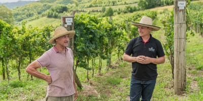Cooperativa Vinícola Garibaldi reforça orientações a produtores diante da possibilidade de Super El Niño