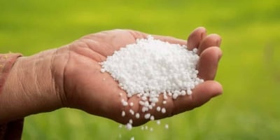 Alta de 35% na ureia pode levar Brasil a priorizar sulfato de amônio em 2026
