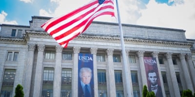 Após 43 dias de especulações, USDA traz novo reporte e pode cortar produções de soja e milho dos EUA