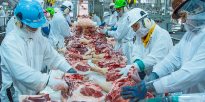 USDA lança plano de US$ 60 milhões para fortalecer pequenos processadores de carne