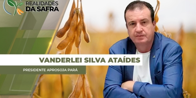 Sul do Pará avança com colheita da soja, mas plantio ainda segue no polo de Paragominas